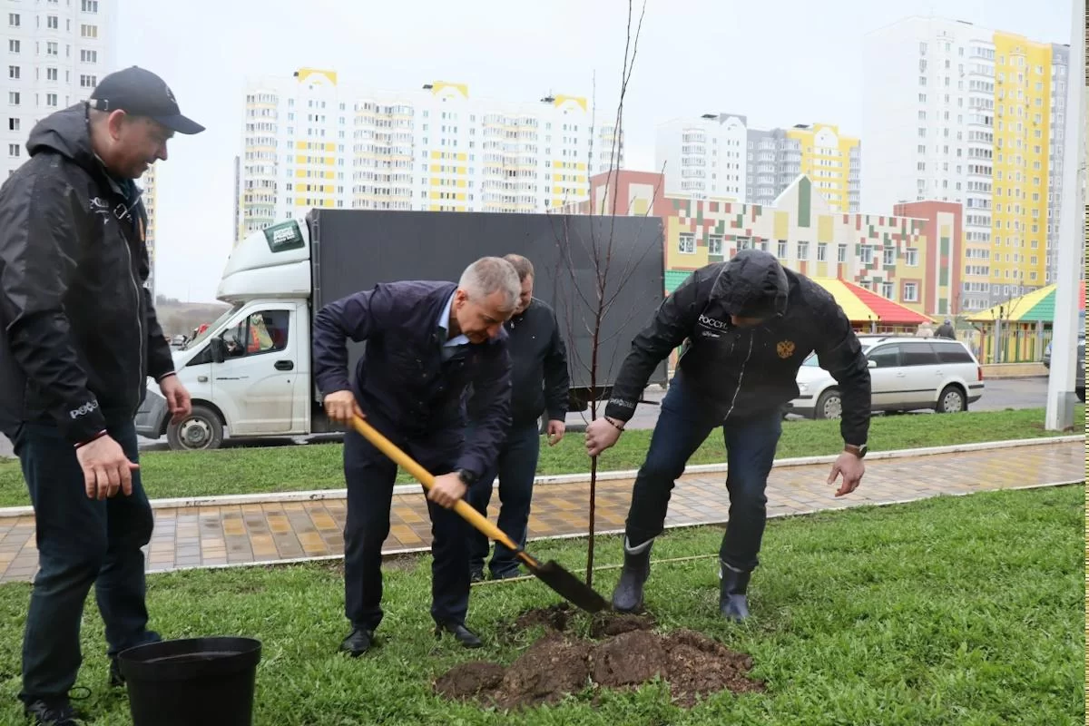 В Курске высадили 50 яблонь в честь приграничных сел, пострадавших от боевых действий