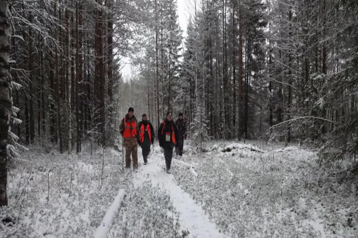 В Кировской области поисковики нашли 15 из 18 человек, пропавших без вести в феврале
