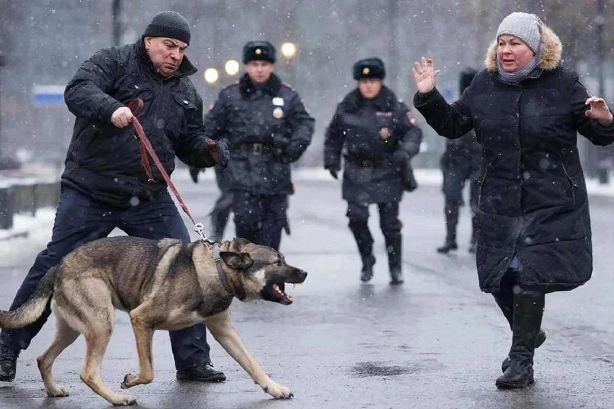 Кто в ответе за тех, кого мы приручили?