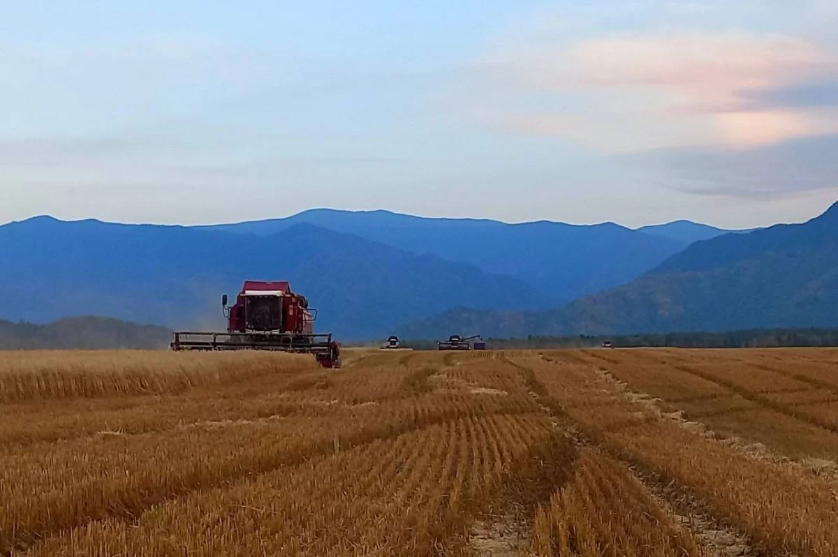 Андрей Турчак: Ветераны СВО в Республике Алтай смогут получить до 7 млн рублей на развитие фермерских хозяйств