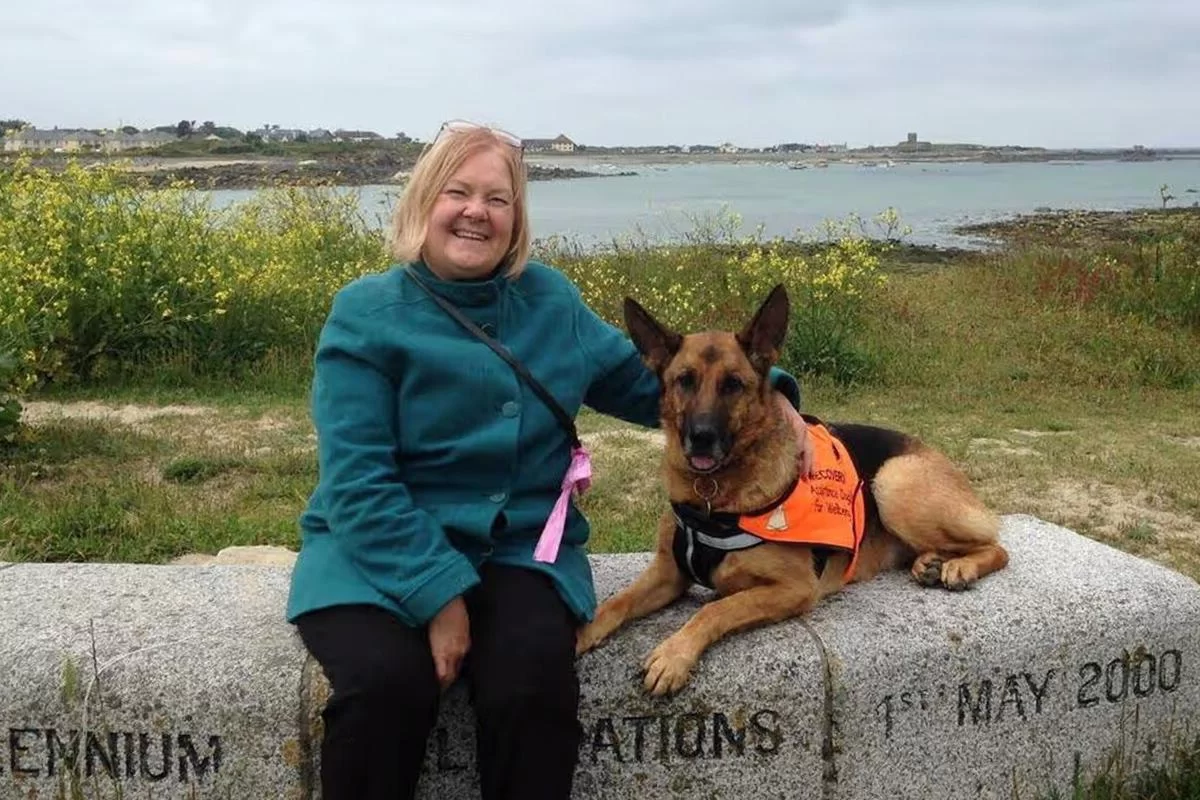 Чуткий нос вместо томографа: как немецкая овчарка учуяла рак у хозяйки и заставила врачей найти опухоль