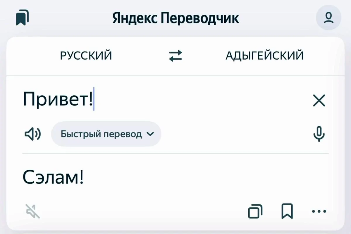«Изучать богатую культуру адыгов и черкесов стало легче»: Мурат Кумпилов сообщил о включении адыгского языка в «Яндекс Переводчик»