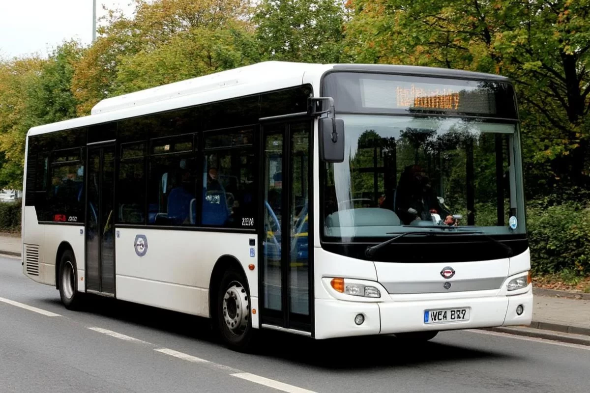 Колеса снова в деле: автобусные туры в России переживают ренессанс — их выбирают даже те, кто раньше летал