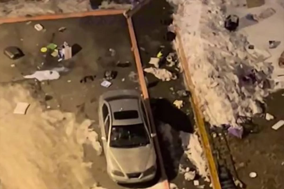 Жуткая история в Красноярске: женщина скинула с 14 этажа двух кошек, собаку и мебель