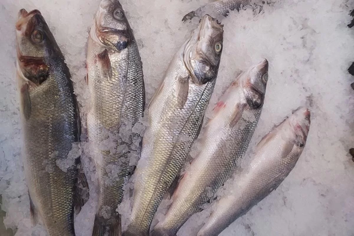 Новосибирская область поставила в Китай 44 тонны ротана и нарастила экспорт рыбы почти в три раза