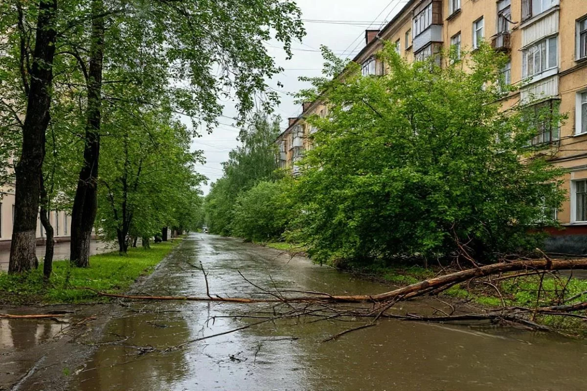 Непогода в Смоленской области привела к масштабным отключениям электричества и человеческим жертвам