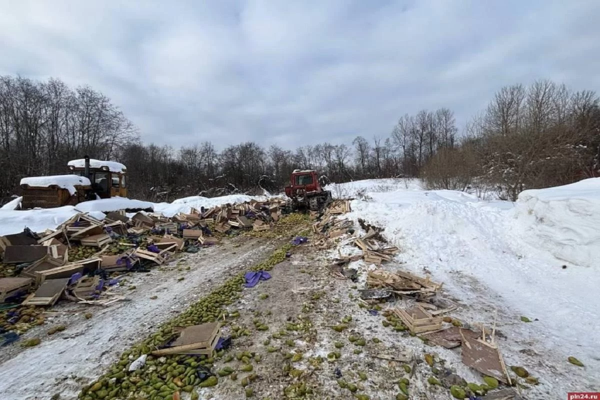 Польские груши нашли печальный конец под Себежем