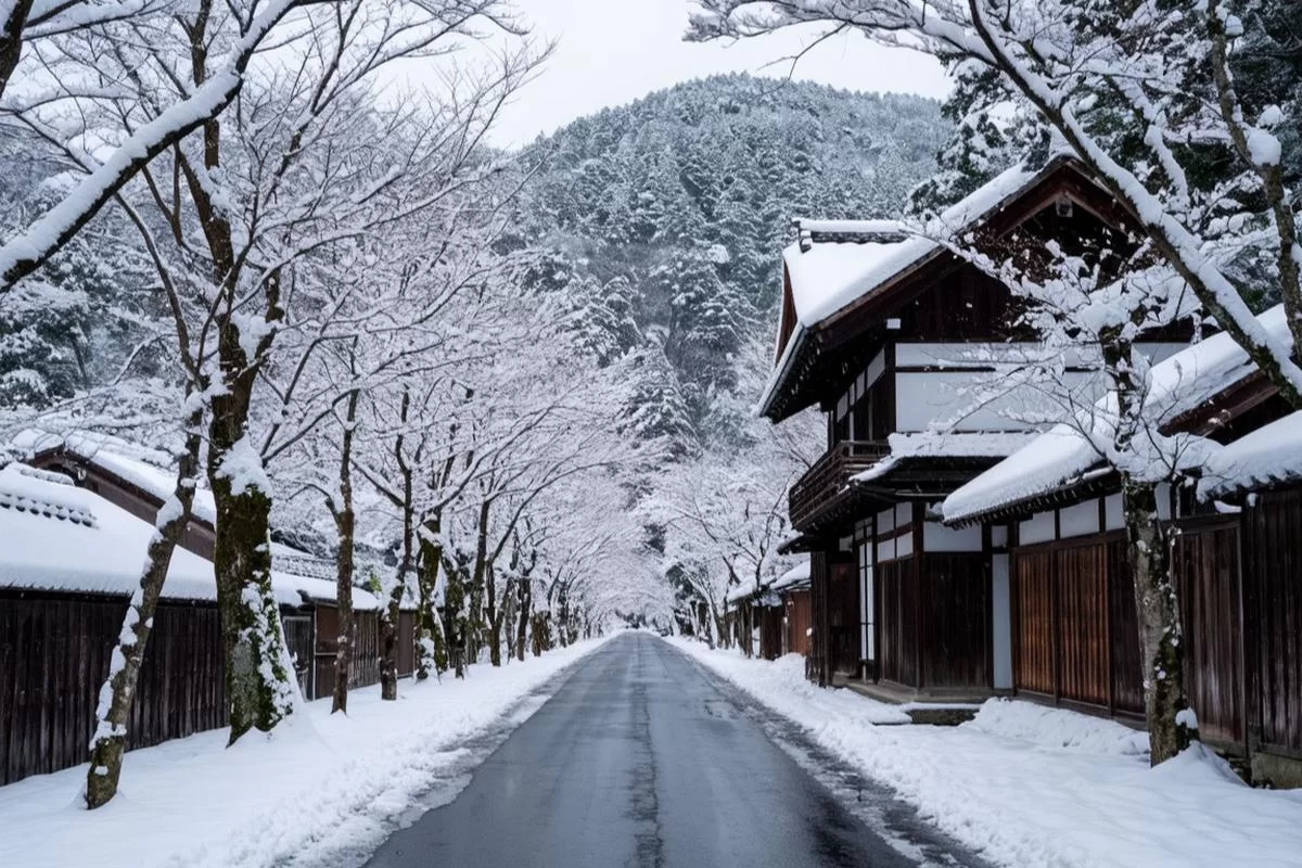 Япония в снежном плену: число жертв растет