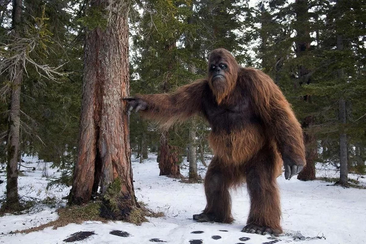 Бывший морпех США поклялся, что на секретной базе его преследовал снежный человек