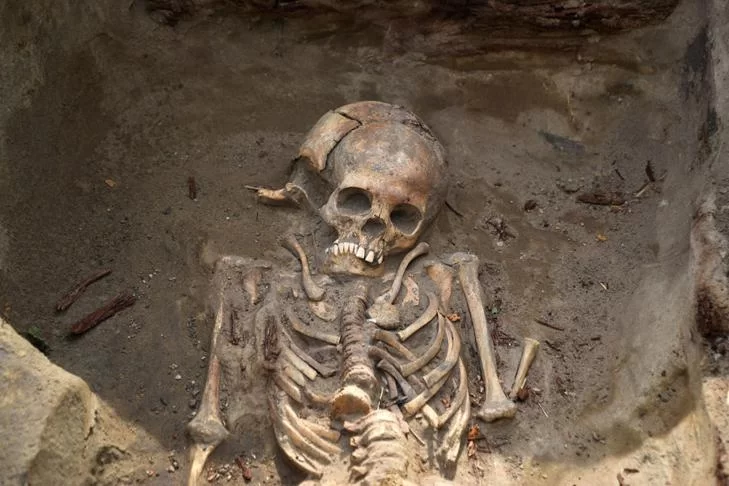 Ученые узнали точный возраст одного из самых полных скелетов неандертальца
