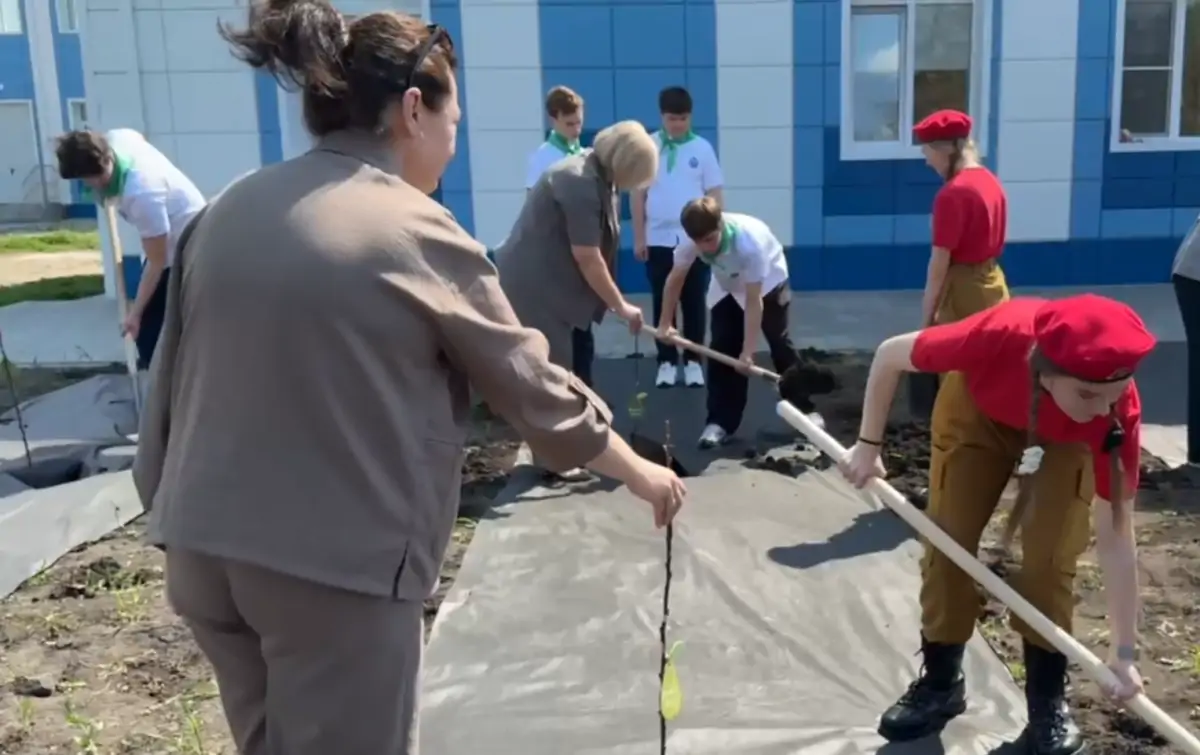 В городе Рассказово накануне Дня Победы во дворе школы №3 высадили «Сад памяти» из грушевых деревьев