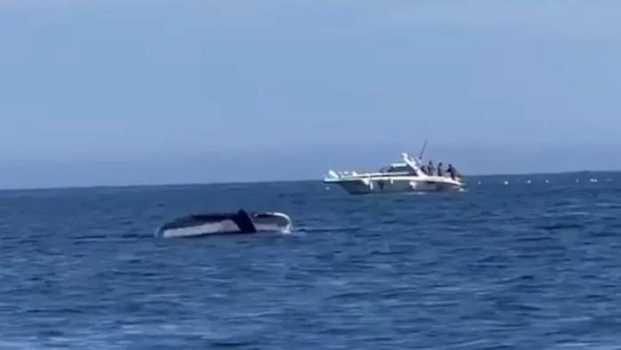 Спасатели освободили запутавшегося в сетях горбатого кита в Баренцевом море