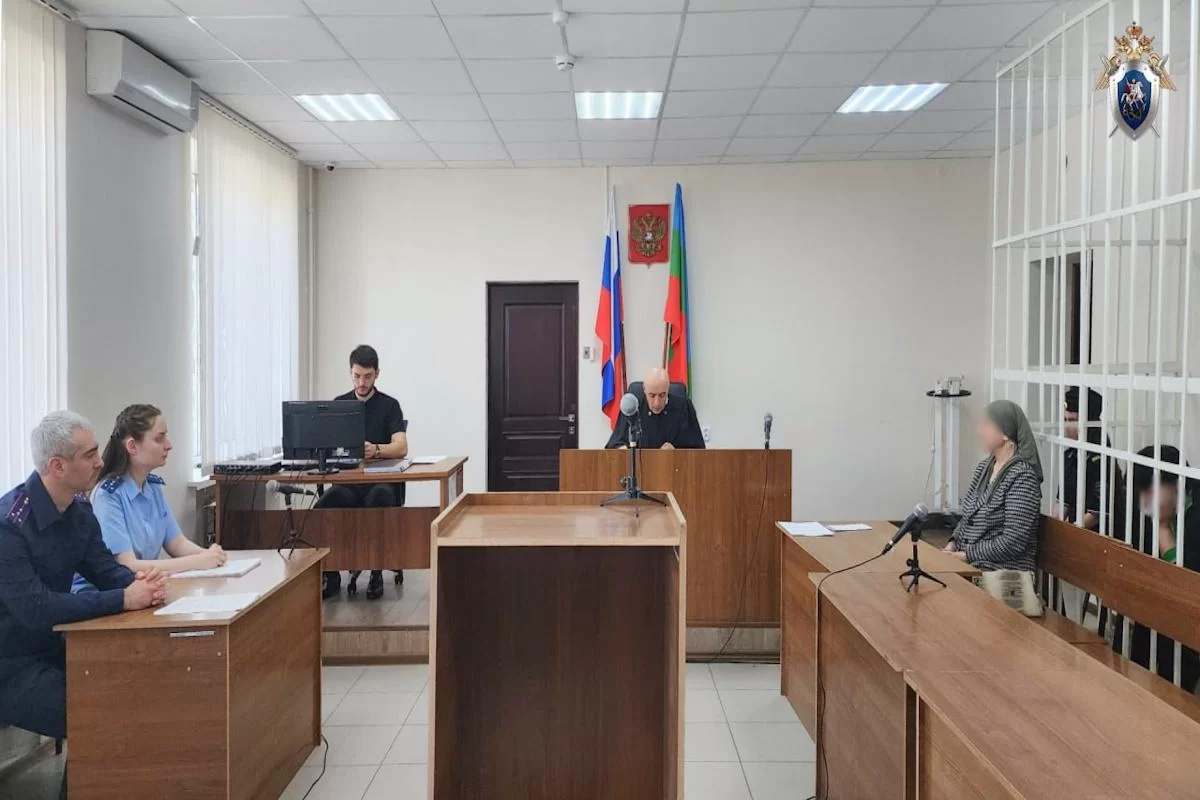 Жительница Черкесска, насмерть сбившая ребёнка на «зебре», отправлена под домашний арест