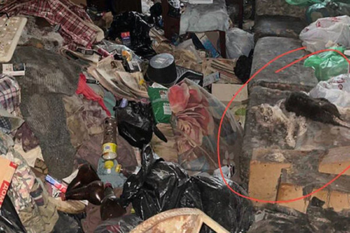 Жуткое соседство: москвичка нашла труп и горы мусора в новой квартире