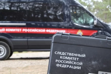 В Усть-Илимске отец после ссоры с женой зарезал двоих детей и покончил с собой