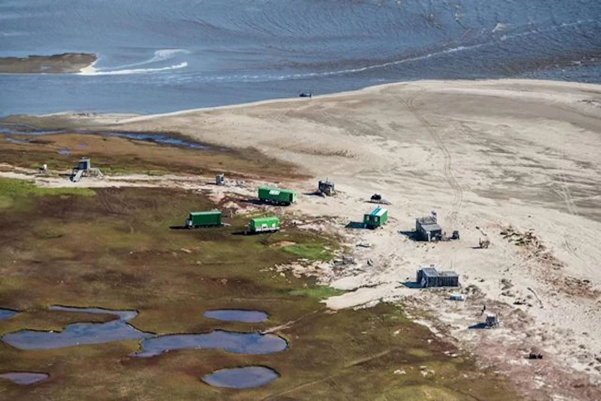 Национальный парк «Гыданский» получит грант в 25 млн рублей на приобретение фотоловушек