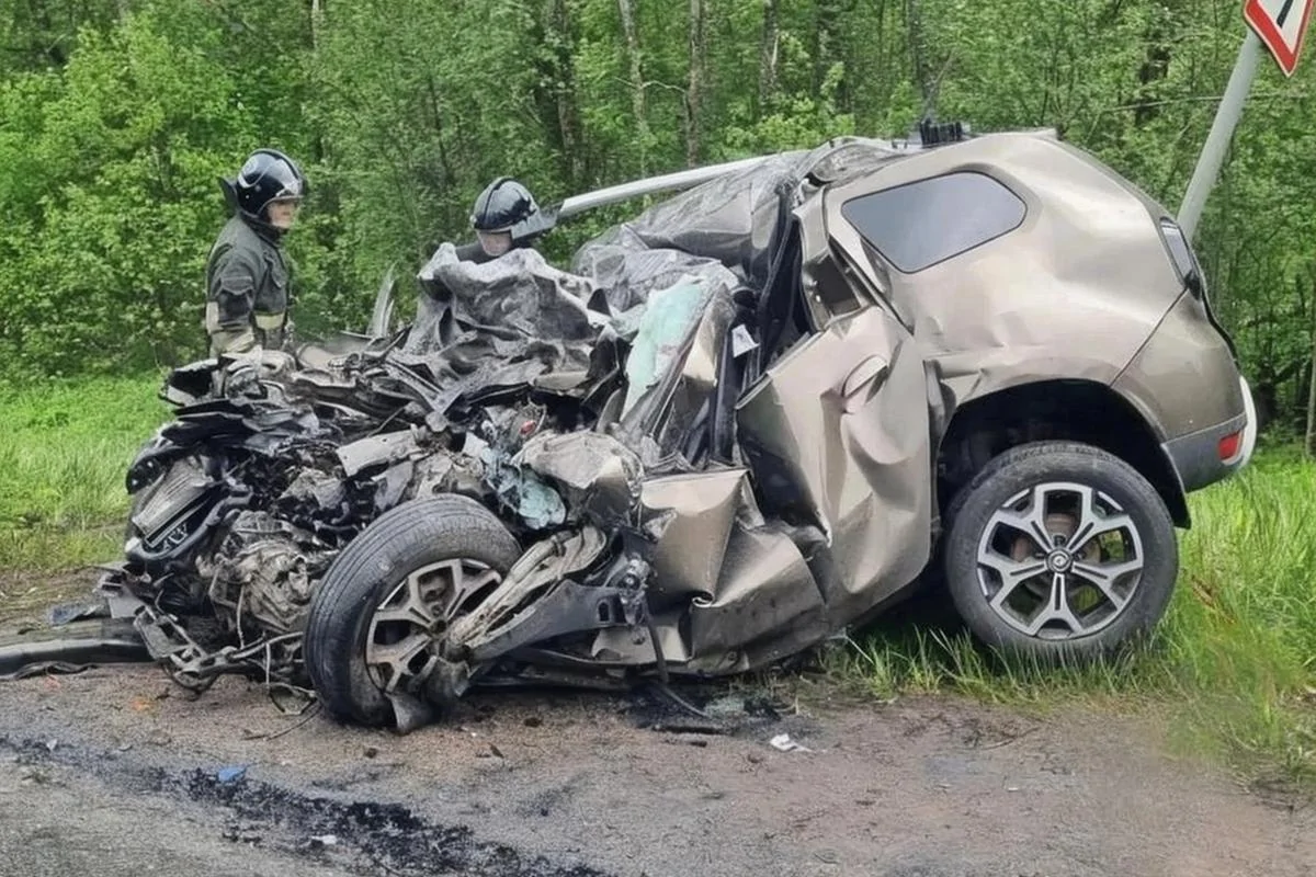 Смертельное лобовое столкновение под Бокситогорском: Renault и грузовик превратились в груду металла