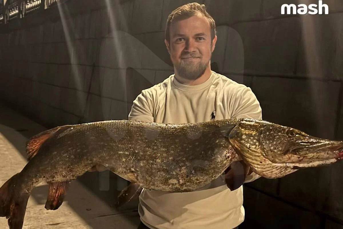 Рыбак поймал девятикилограммовую щуку в центре столицы у «Москвы-Сити»