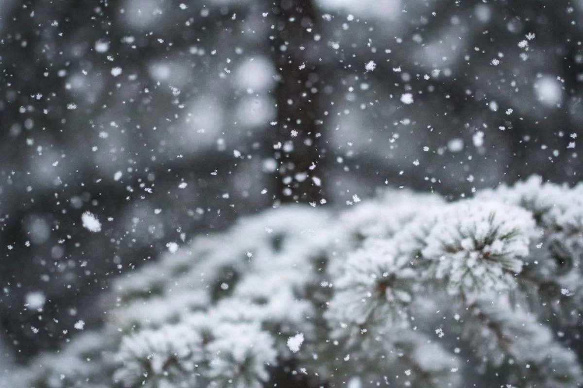 В Кузбассе 3 марта ожидаются морозы до минус 37 градусов и снегопады