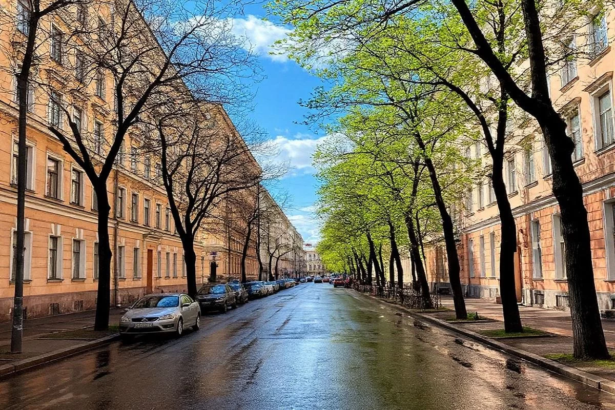 Культурная афиша Петербурга: концерты, фестивали и необычные перформансы