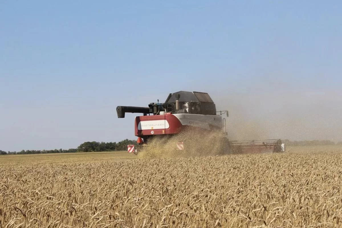 Аномальные снегопады создали задел для урожая, но несут точечные риски