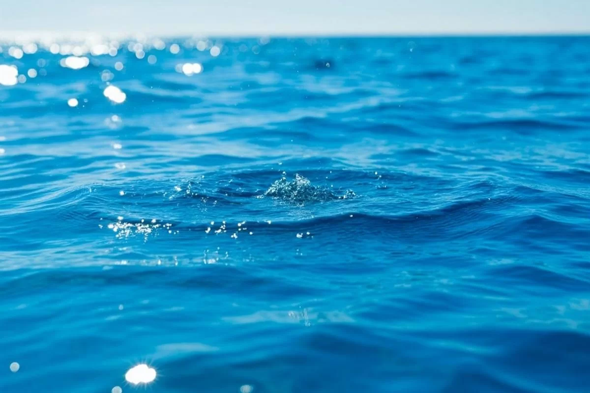 В Новосибирской области зафиксирована рекордная гибель людей на водоемах
