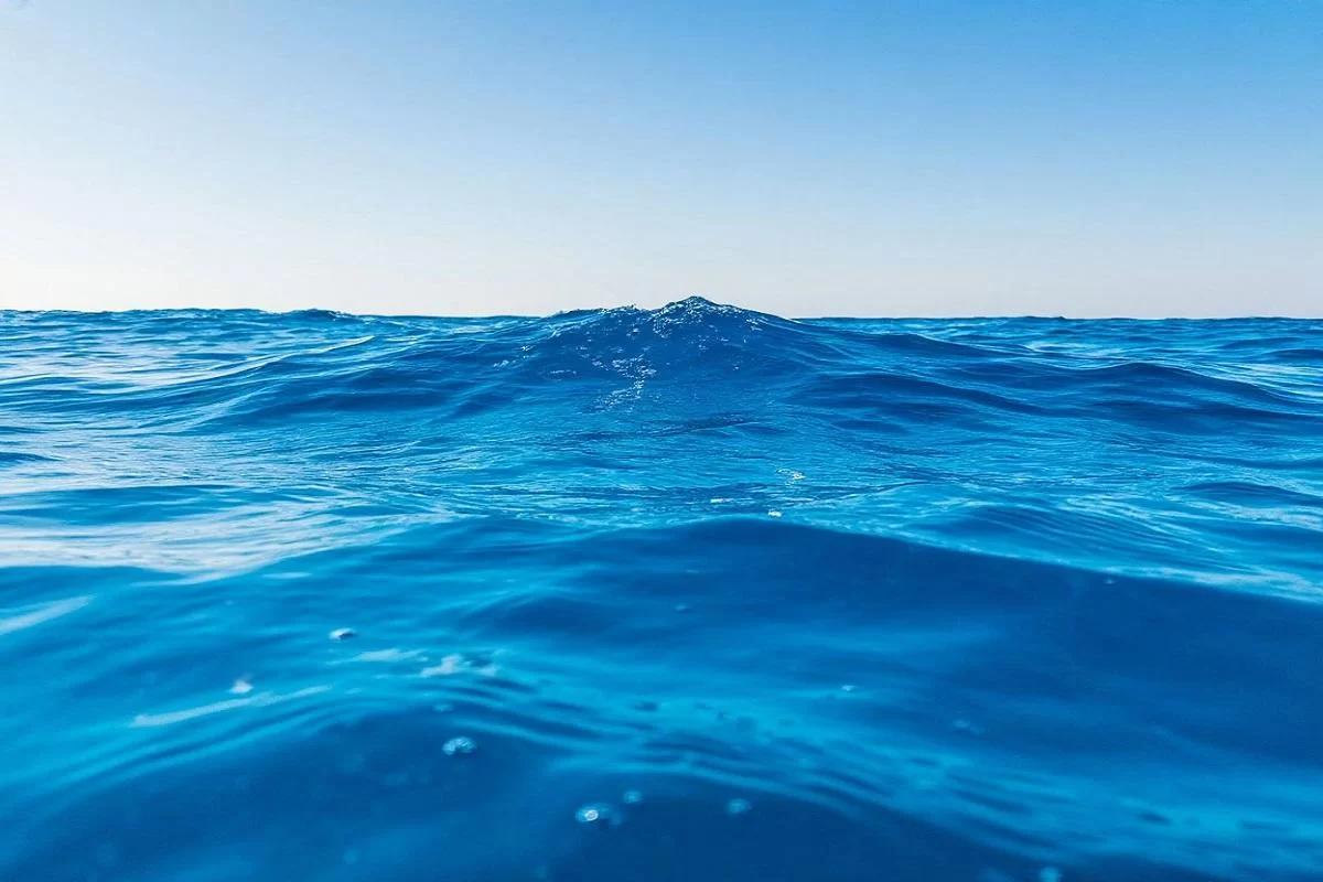 Мексиканский этап Кубка мира по прыжкам в воду отменен из-за уличных беспорядков