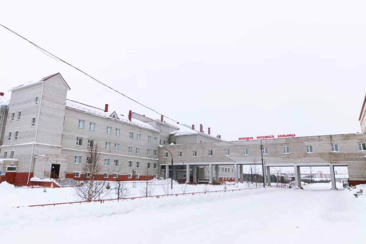 Ирина Гехт: В НАО в 2025 году зарегистрировано более 10 тысяч случаев заболеваний органов кровообращения среди взрослых