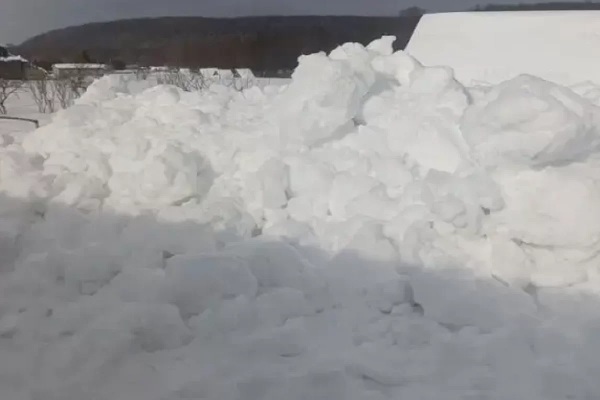 В Саранске снег, упавший с крыши пятиэтажки,