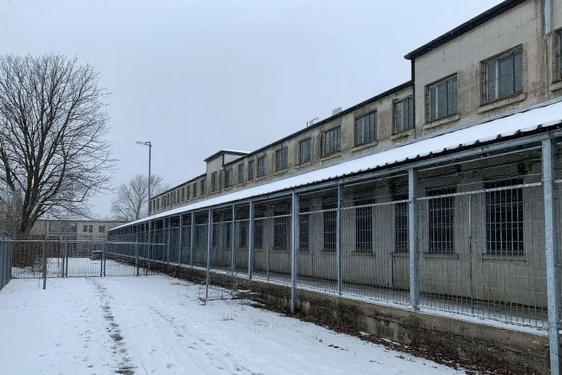 Возмездие через 24 года: под Ярославлем осудили мать, убившую новорождённого сына