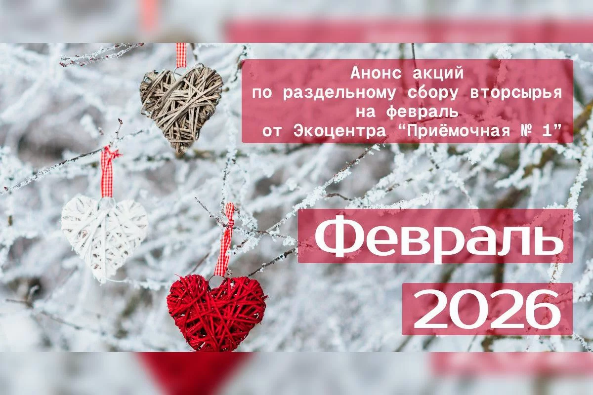 В Городском округе Пушкинский в феврале пройдёт экоакция по раздельному сбору вторсырья