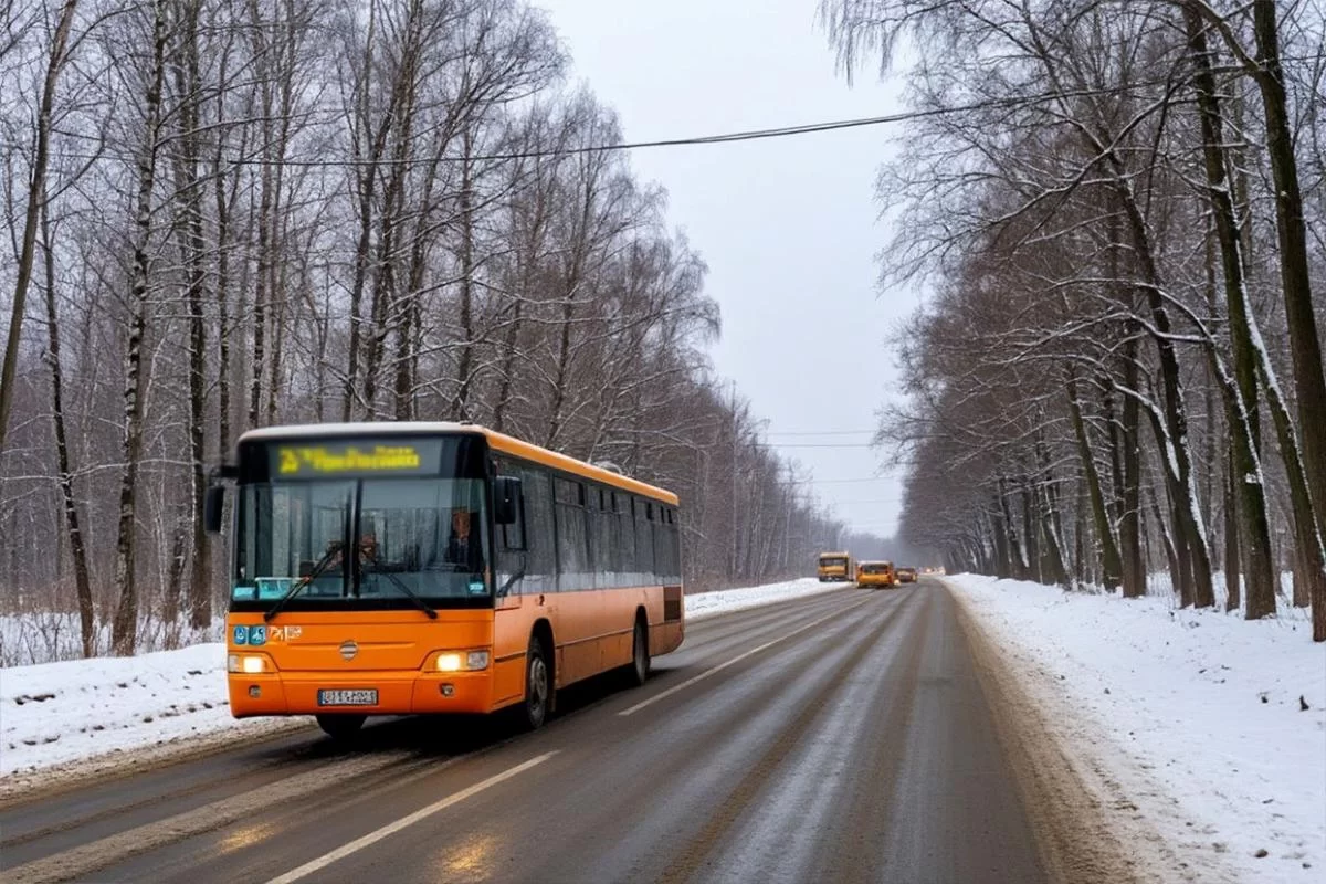 Снежный плен в ЕАО: автобусы встали на пяти направлениях, пробиться удалось только в Хабаровск