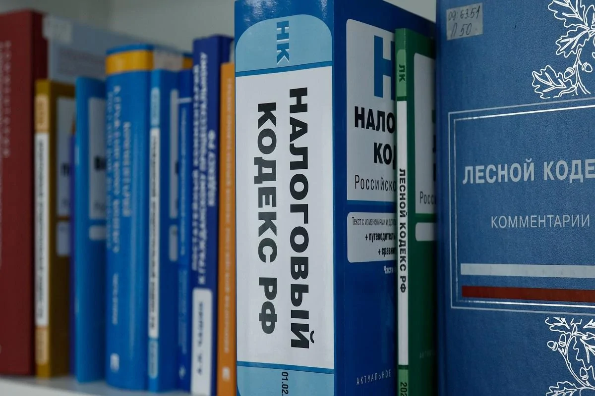 Борьба с «серыми схемами»: Минфин меняет подход к льготам