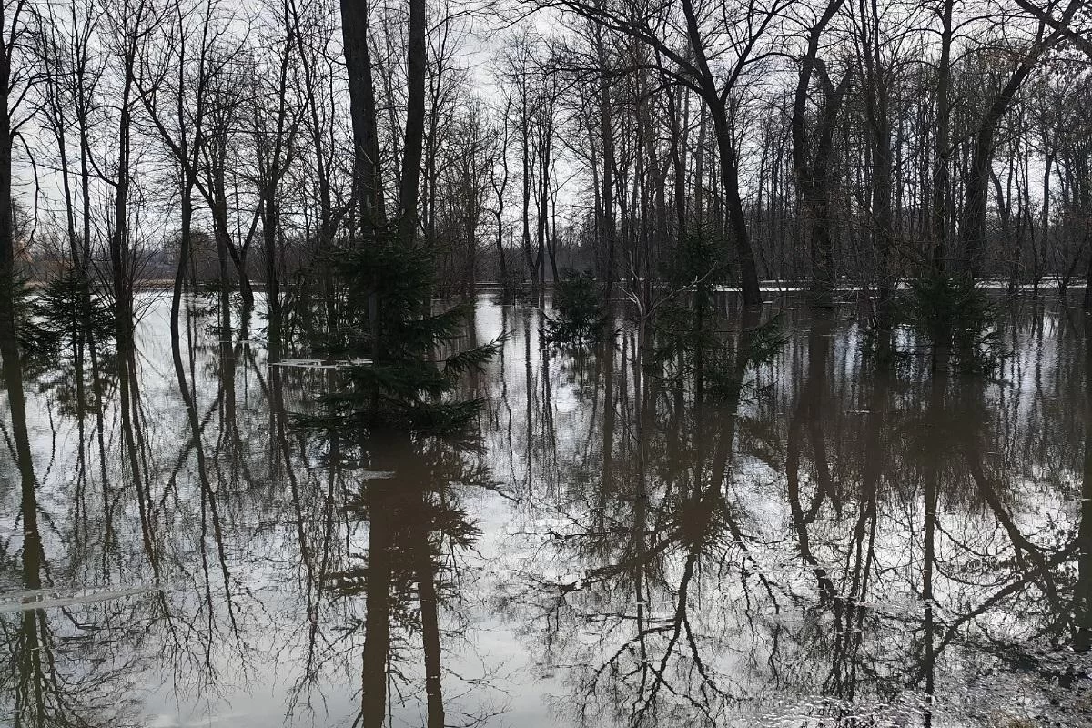 Популярный парк уходит под воду: паводок в Туле набирает силу