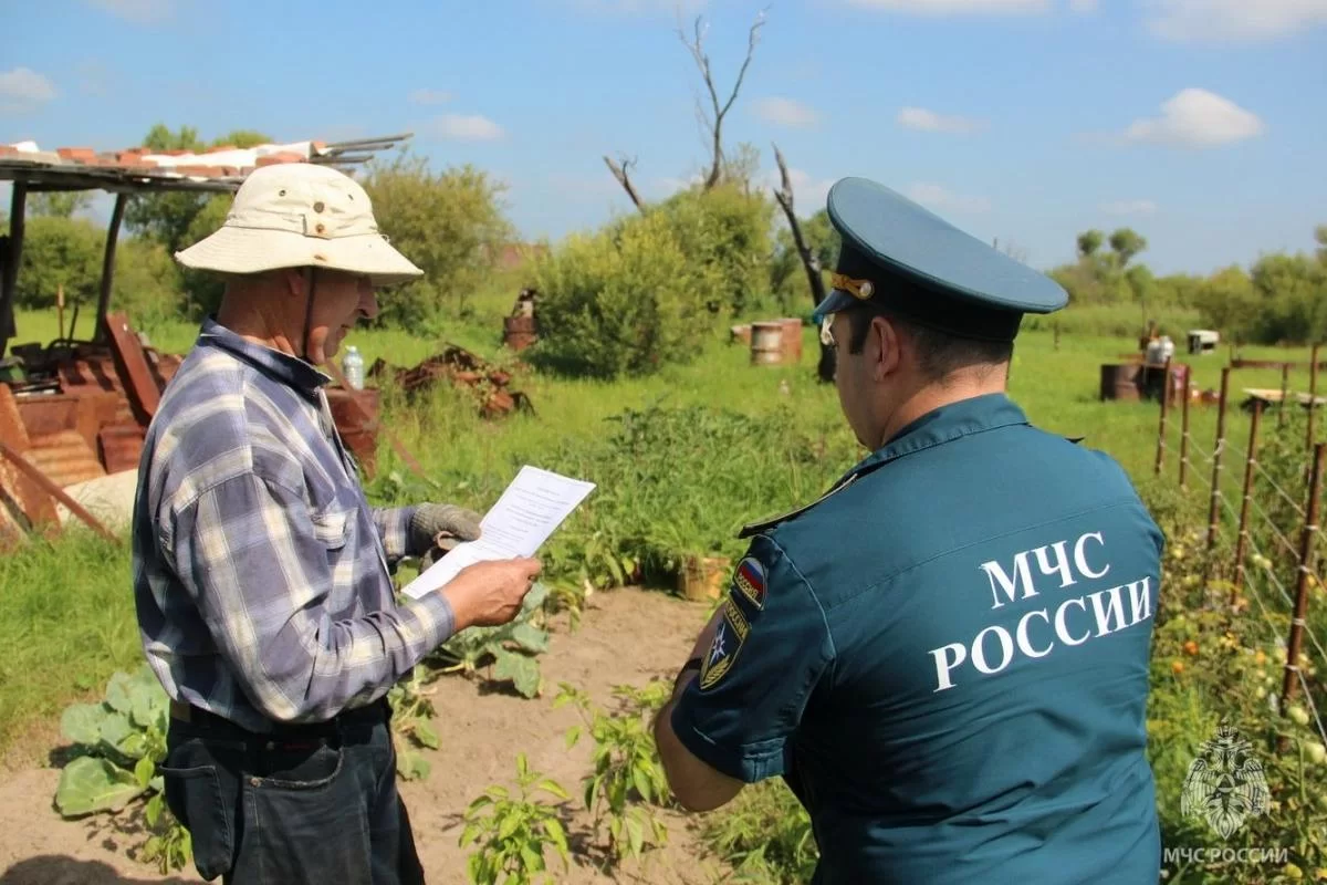 Амур подбирается к дачам: спасатели в Хабаровске в панике — урожай спасай, пока вода не пришла
