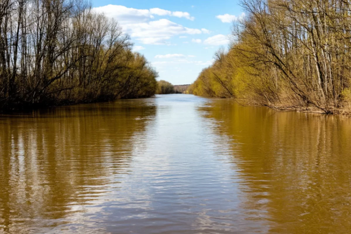 В Калужской области фиксируют резкий подъём воды в реках Ока и Протва