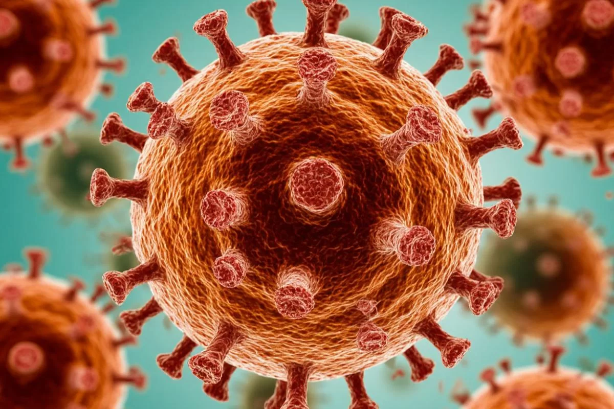 В Индии распространяется вирус Нипах, обладающий «эпидемическим потенциалом»