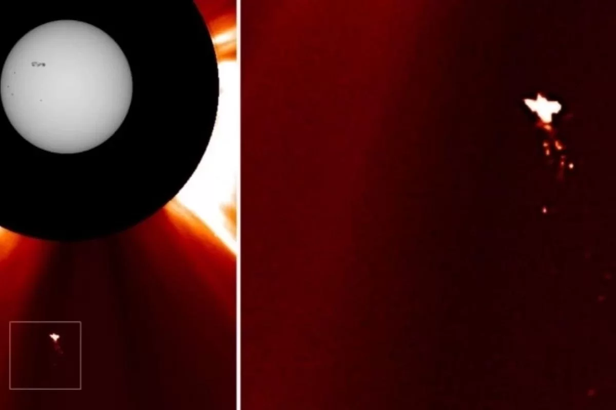 Тайна «космической птицы» у Солнца: что за объект запечатлели учёные?