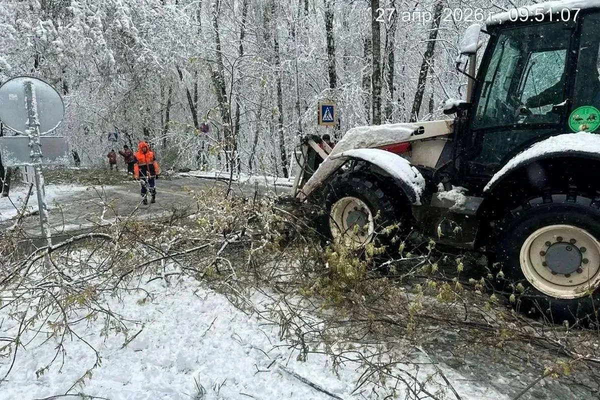 В Котельниках коммунальщики в усиленном режиме устраняют последствия снегопада и сильного ветра