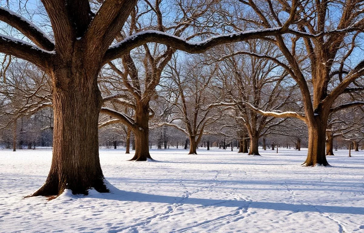 Прокуратура вернула 7 гектаров векового леса из частного владения в Рамонском районе