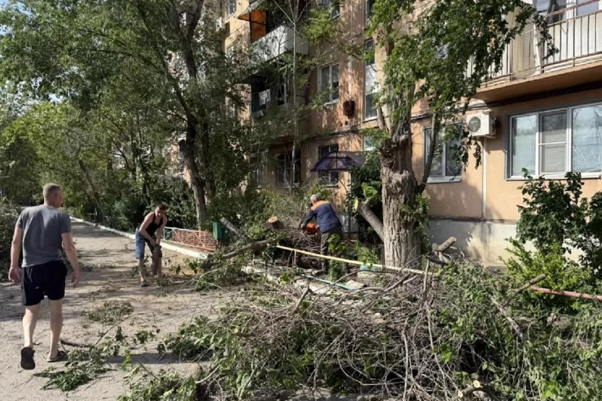 Ураганный ветер повалил десятки деревьев в Астрахани