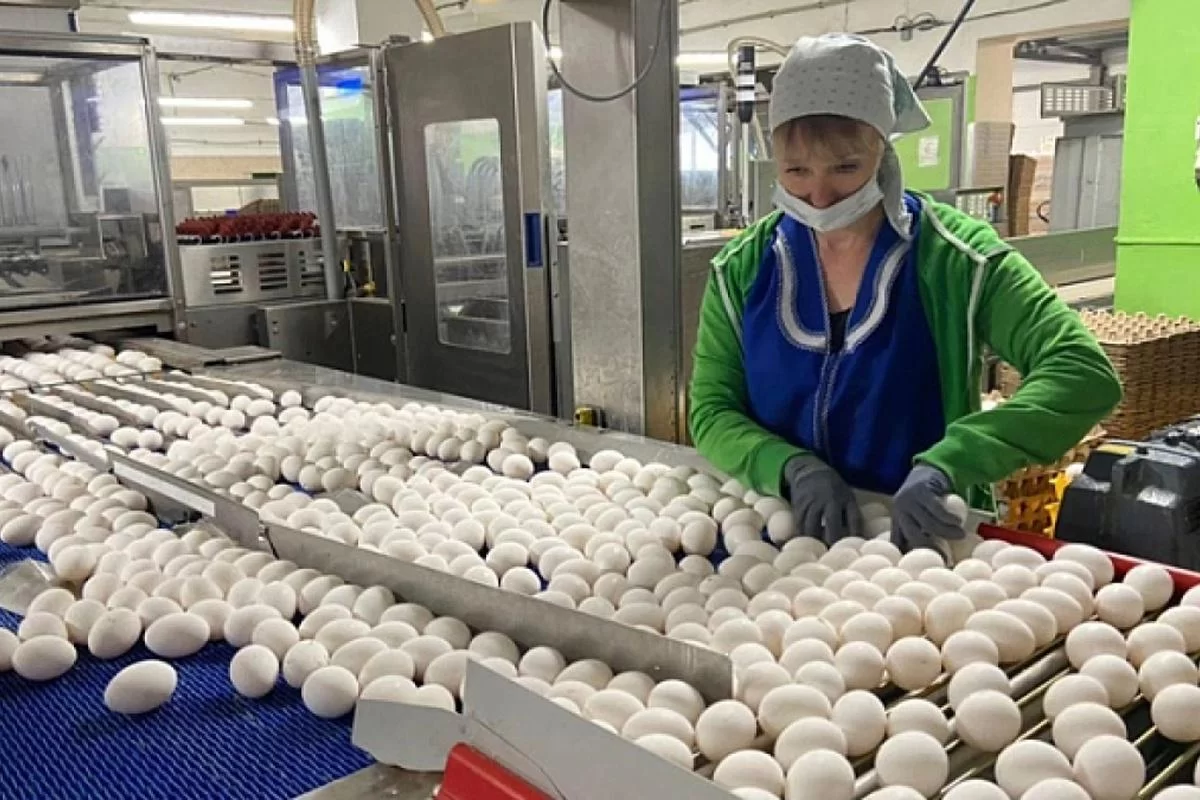 ФАС проверила птицефабрики Кировской области после жалобы губернатора