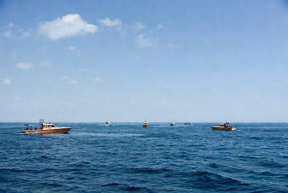 Новая миссия по обнаружению следов рейса MH370 не дала результатов