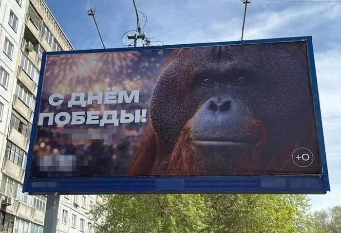 «Наши деды — не обезьяны»: зачем новосибирский зоопарк поздравил горожан с Днём Победы баннером с орангутаном