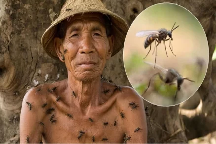 В Таиланде мужчина умер после укусов мошек: инфекция попала в ранки