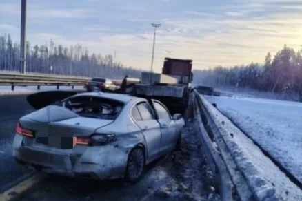 В Ленобласти в ДТП с легковушкой и припаркованным на обочине грузовиком погибли два человека