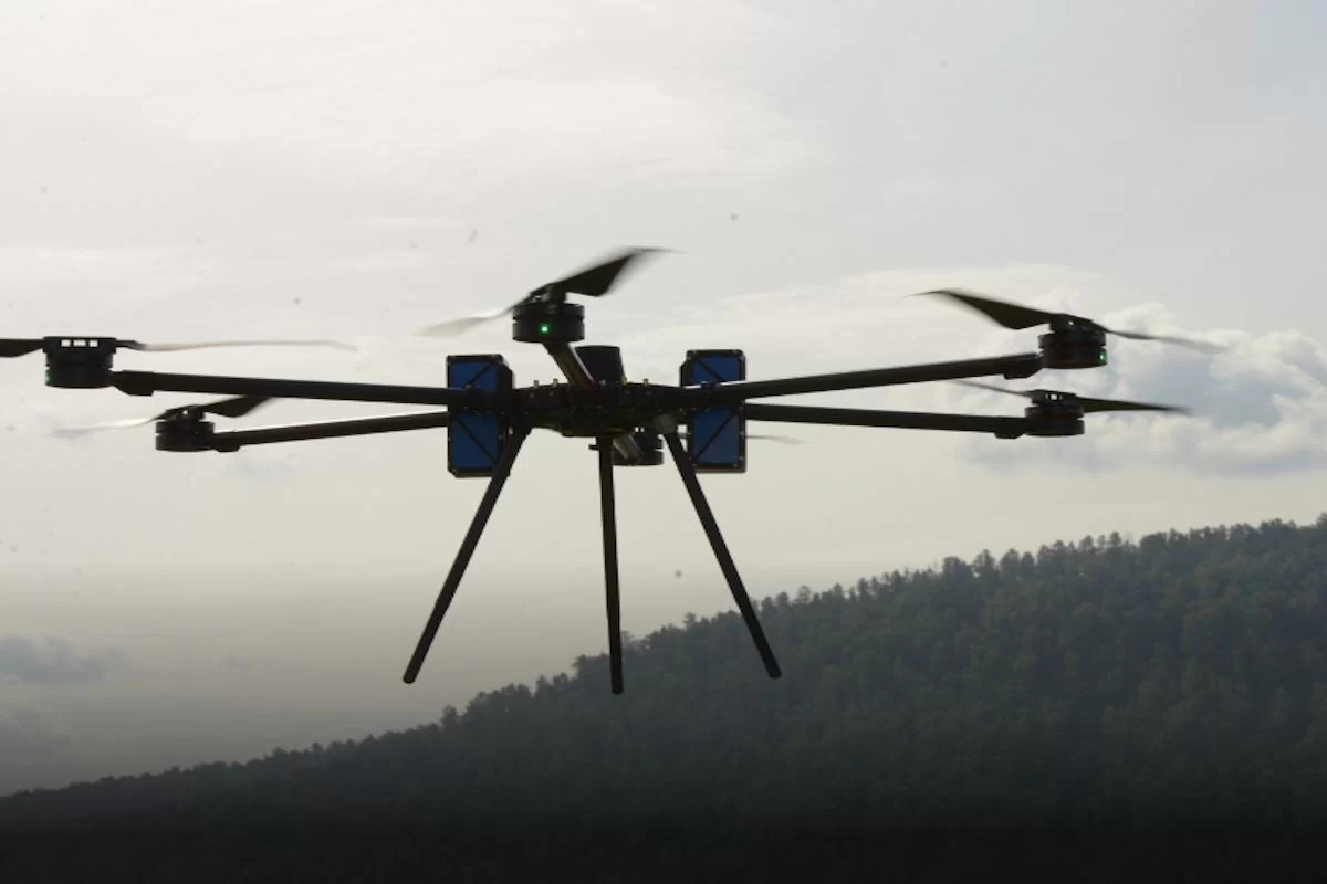 В комитете Ивановской области по лесному хозяйству подвели итоги реализации национальных проектов