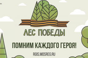 В г.о. Чехов во время акции «Лес Победы» высадят более 230 саженцев