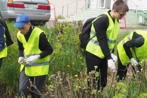 В Братске летом будут организованы экологические и трудовые отряды для подростков