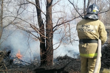 На Алтае найден виновник первых лесных пожаров